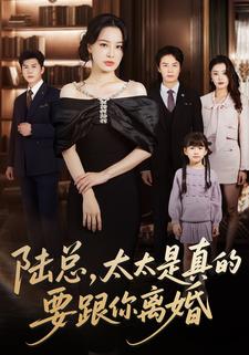 陆总，太太是真的要跟你离婚