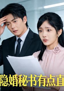 隐婚秘书有点直