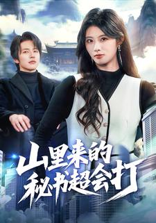 山里来的秘书超会打