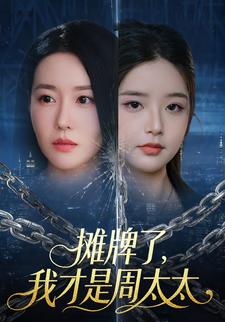 摊牌了，我才是周太太