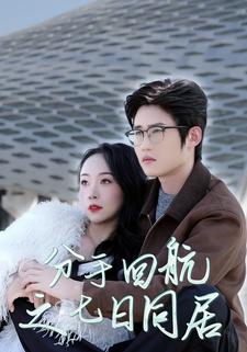 分手回航之七日同居