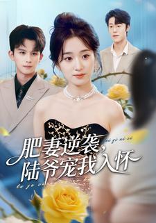 肥妻逆袭，陆爷宠我入怀