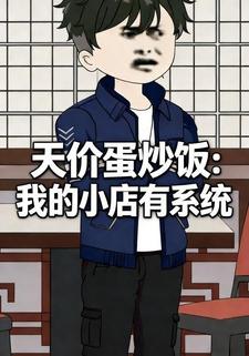 天价蛋炒饭：我的小店有系统