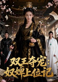 双王夺宠：奴婢上位记