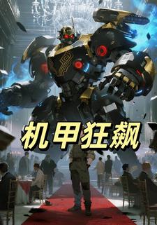 机甲狂飙第一季