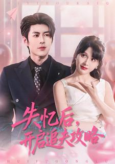 失忆后，开启追夫攻略