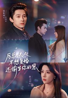 厉总，夫人不想复婚还偷生你的崽