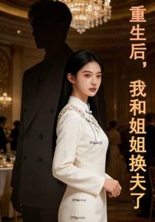 重生后，我和姐姐换夫了
