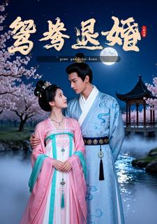 鸳鸯退婚