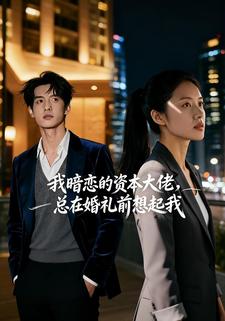我暗恋的资本大佬，总在婚礼前想起我