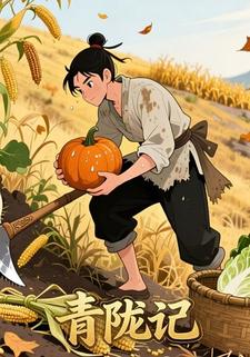 青陇记
