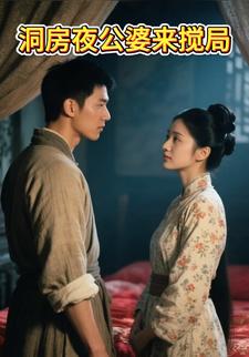 洞房夜公婆来搅局
