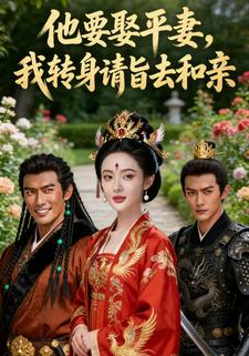 他要娶平妻，我转身请旨去和亲