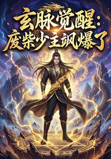 玄脉觉醒：废柴少主飒爆了