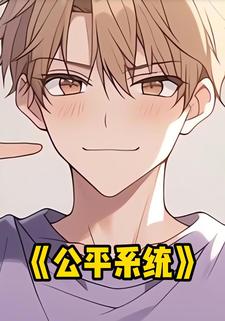 公平系统