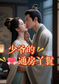 少爷的通房丫鬟