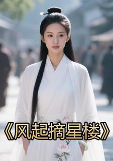 风起摘星楼