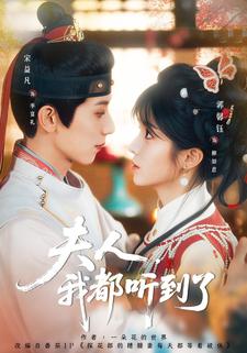 夫人，我都听到了