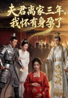 夫君离家三年，我怀有身孕了