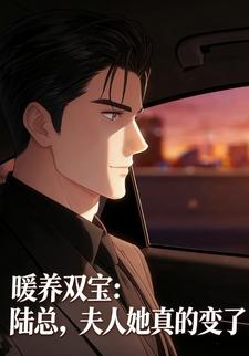 暖养双宝：陆总，夫人她真的变了