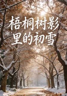 梧桐树影里的初雪