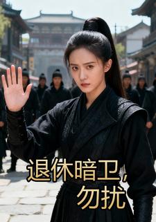 退休暗卫，勿扰