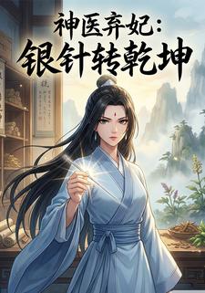 神医弃妃：银针转乾坤