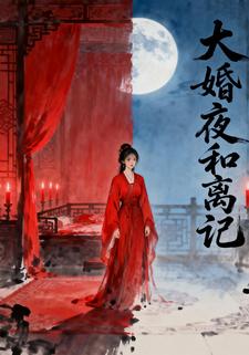 大婚夜和离记