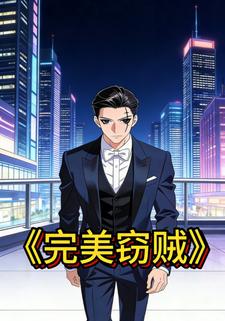 完美窃贼