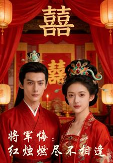 将军悔：红烛燃尽不相逢