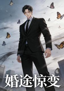 婚途惊变