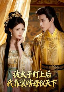 被太子盯上后我靠装瞎母仪天下