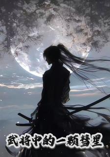 武将中的一颗彗星