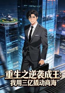 重生之逆袭成王：我用三亿撬动商海