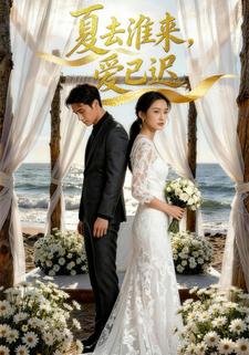 夏去淮来，爱已迟