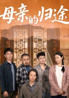 母亲的归途