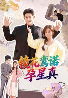 镜花鸾诺孕星真