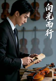 向光而行