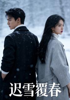 迟雪覆春
