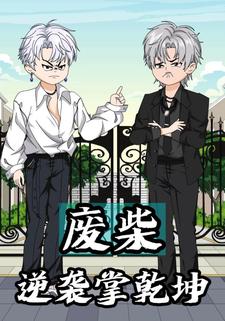 废柴逆袭掌乾坤