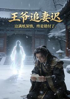 王爷追妻迟