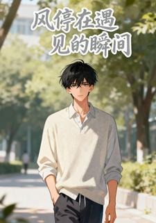 风停在遇见的瞬间