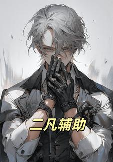 二凡辅助