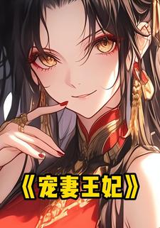 宠妻王妃