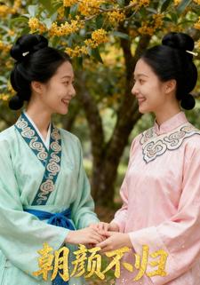 朝颜不归