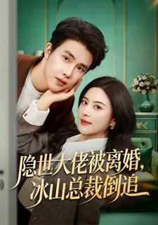 隐世大佬被离婚，冰山总裁倒追