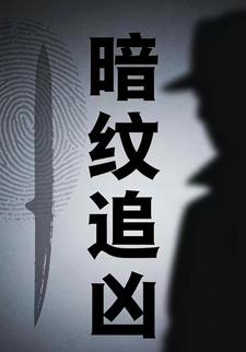 暗纹追凶