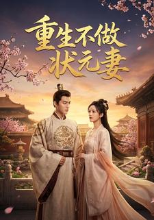 重生不做状元妻
