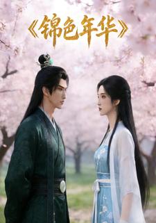 锦色年华