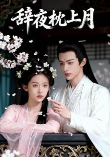 辞夜枕上月